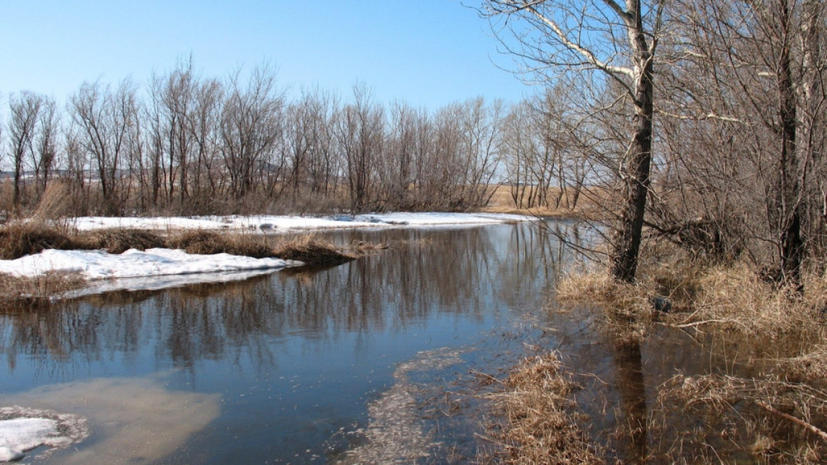  Из открытых источников 