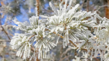 Фотография к новости: Синоптики рассказали о погоде в ближайшие трое суток в Казахстане 