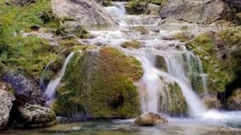 Фотография к новости: О возможном увеличении объёма воды в городских реках предупредили в ДВД Алматы