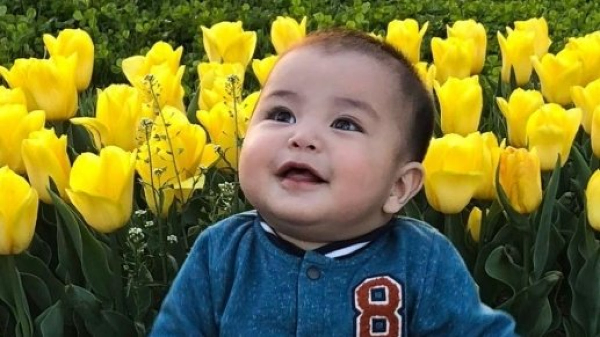  пресс-служба акимата г. Шымкент