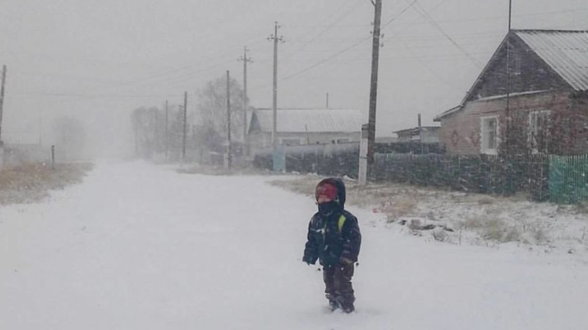  Из открытых источников