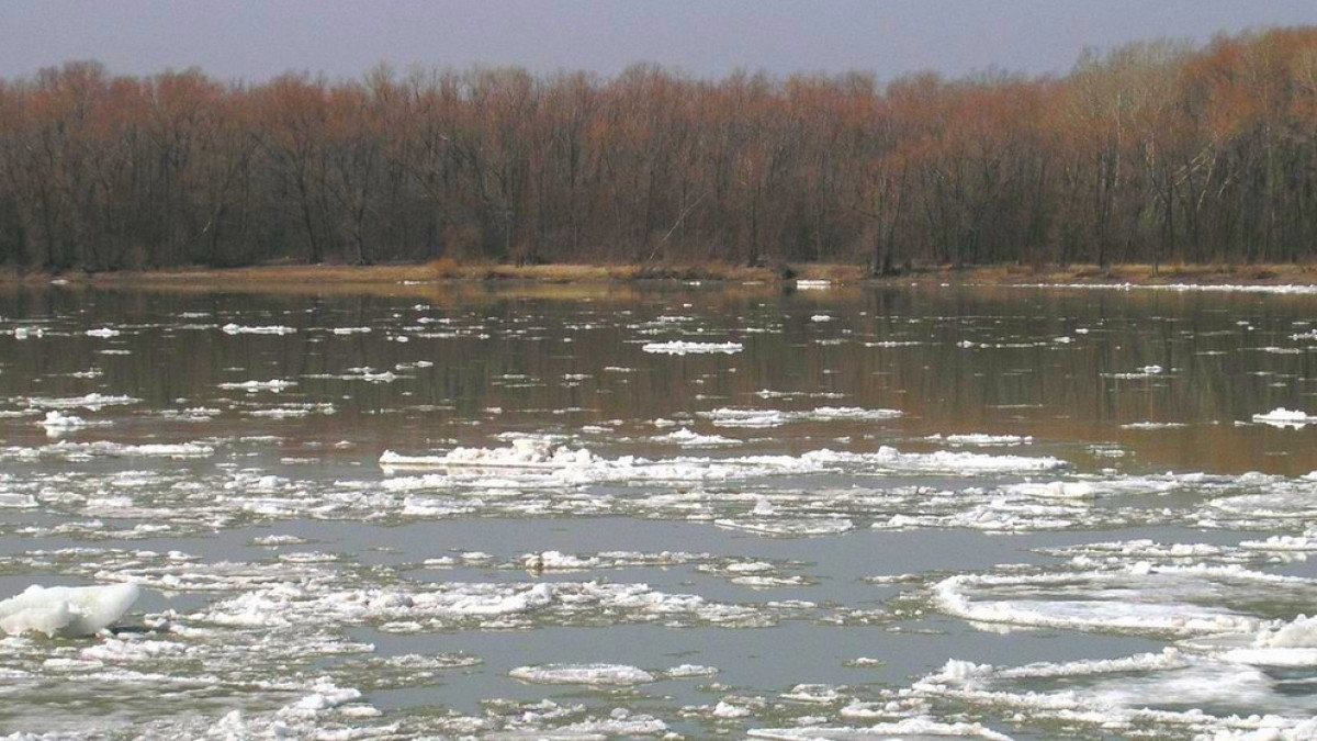  Из открытых источников