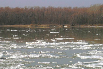 Фотография к новости: Прогноз весеннего половодья в Казахстане представил Казгидромет