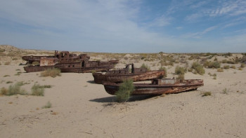Фотография к новости: Деревья посадят на высохшем дне Аральского моря
