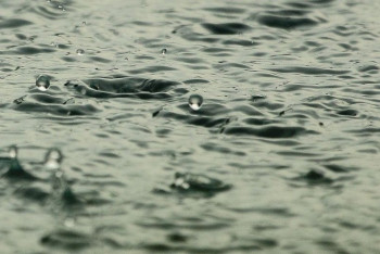 Фотография к новости: Четверо детей утонули в водоёме в Астане