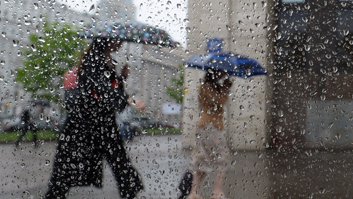  Из открытого источника 