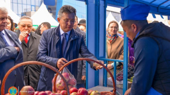 Фотография к новости: Ярмарку сельхозпродукции и ряд объектов посетил новый аким Астаны