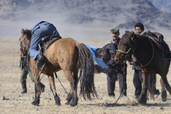 Фотография к новости: Похищенные скот и мобильные телефоны пытаются вывозить в Кыргызстан и Узбекистан