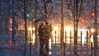 Фотография к новости: Дождь со снегом на севере Казахстана прогнозируют синоптики     