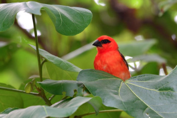Фотография к новости: Ученые назвали способ, как увеличить продолжительность жизни