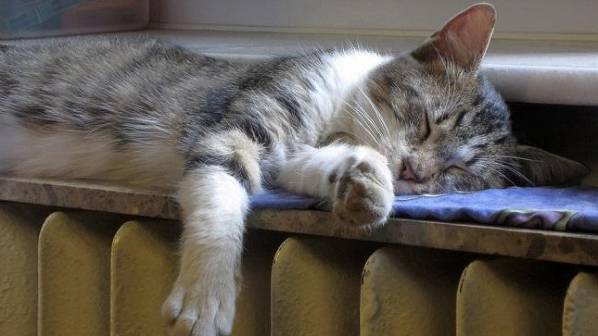  РБК-Украина