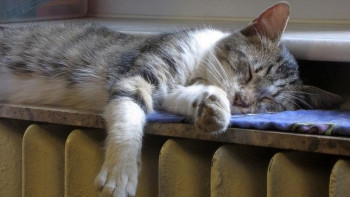 Фотография к новости: Отопительный сезон начался в Астане