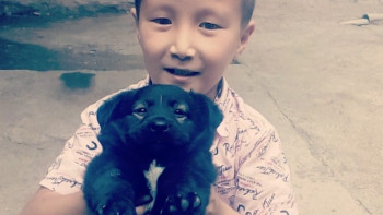 Фотография к новости:  Тело пропавшего семилетнего мальчика нашли в Алматинской области