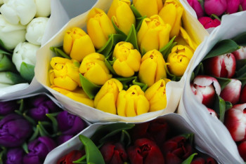 Фотография к новости: Как выбрать букет для женщины 