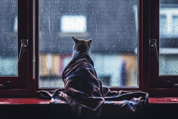 Фотография к новости: Гроза, туман и усиление ветра ожидаются на большей части страны 26 апреля 