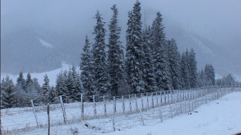 Фотография к новости: Законопроект о режиме казахстанско-кыргызской государственной границы одобрили в Мажилисе