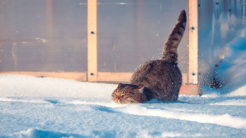 Фотография к новости: Тепло придёт в Казахстан в ближайшие дни 