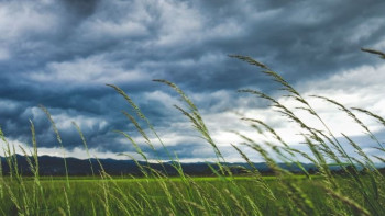 Фотография к новости: В нескольких областях Казахстана объявлено штормовое предупреждение