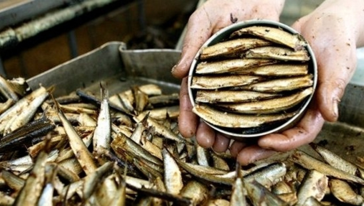  Из открытых источников 