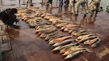 Фотография к новости: Около 125 млн тенге возместили браконьеры Атырауской области за последние два года