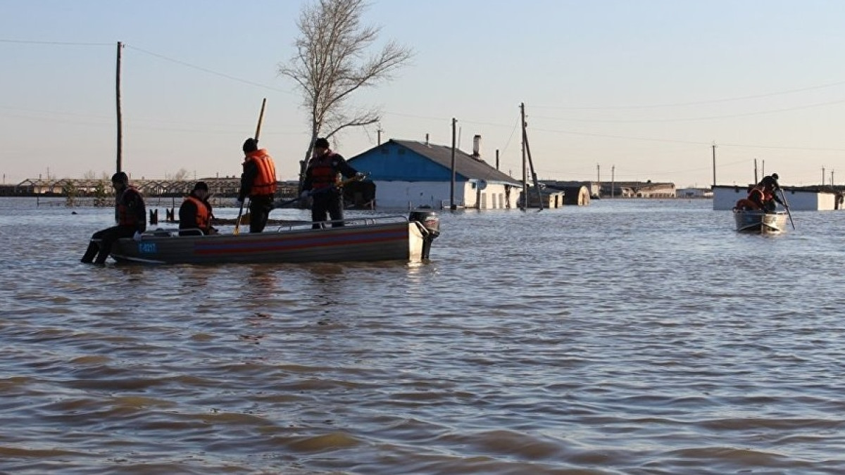  Из открытых источников 