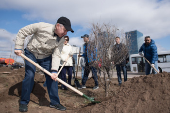 Фотография к новости: Депутаты Мажилиса вышли на общегородской субботник в Астане
