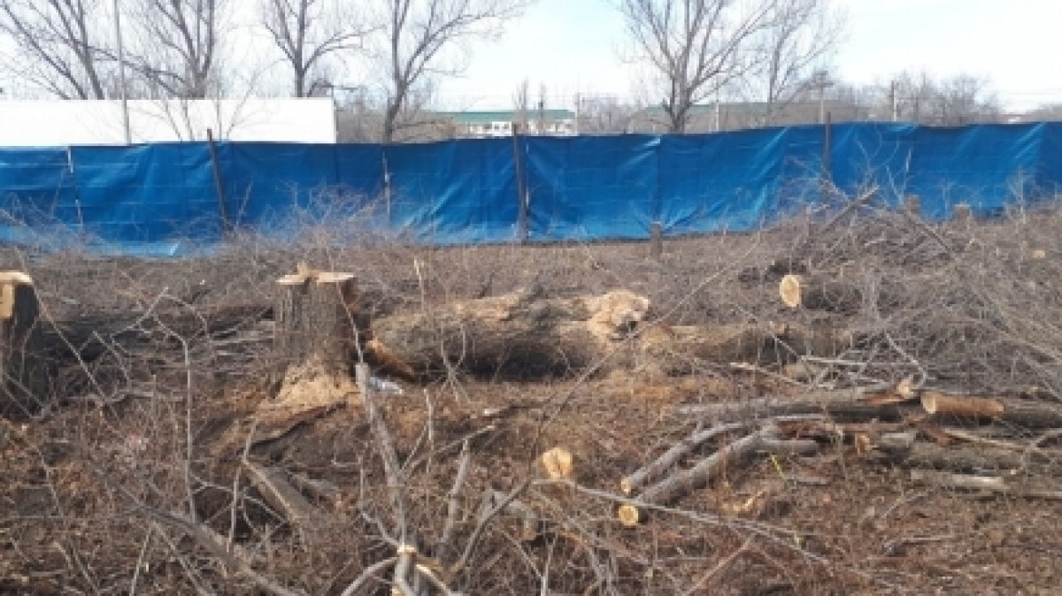  Из открытых источников