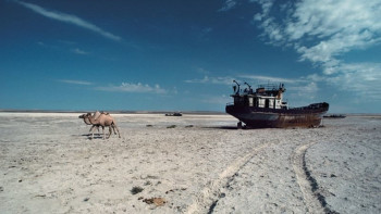Фотография к новости: Документальный фильм об Аральском море выпустил ТРК Президента