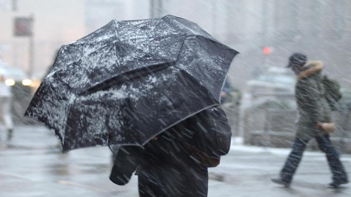  Иллюстративное 