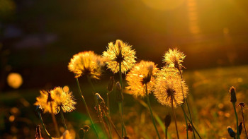 Фотография к новости: Как спастись от невыносимой жары: рекомендации экспертов  