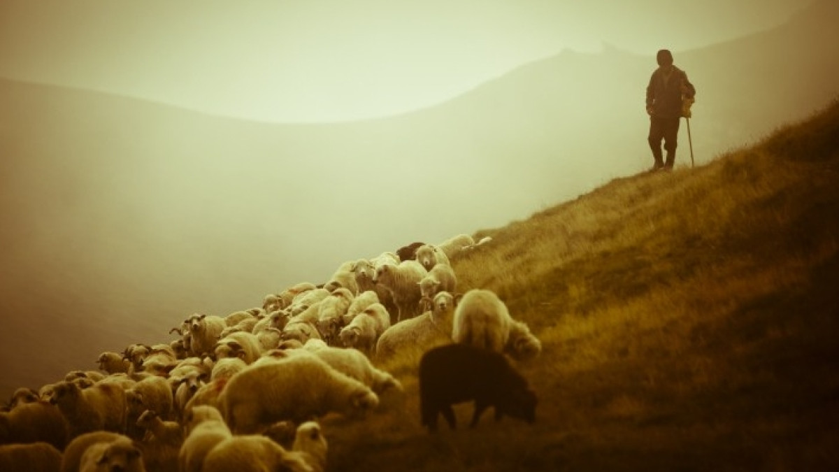  открытые источники