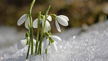 Фотография к новости: Синоптики рассказали о погоде в Казахстане 6 марта