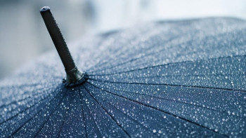 Фотография к новости: Дожди прогнозируют синоптики на большей части страны 10 августа 