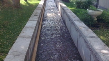 Фотография к новости: Труп девушки в арыке Алматы: подозреваемый задержан