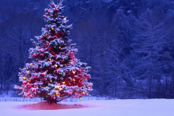 Фотография к новости: Какую погоду ждать казахстанцам в новогоднюю ночь, рассказали синоптики