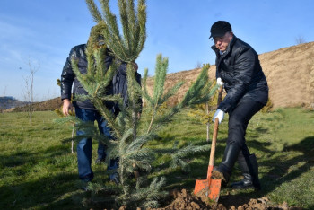 Фотография к новости: Аким ЮКО завершил 2017 год посадкой деревьев