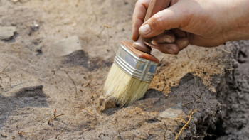 Фотография к новости: Кости гигантов ледниковой эпохи обнаружил житель СКО