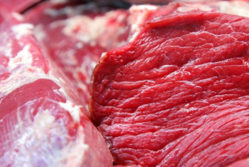 Фотография к новости: Экспортировать конину в Японию планирует Казахстан