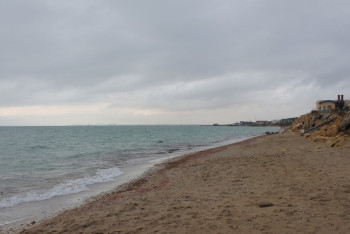 Фотография к новости: На побережье Актау обнаружено тело мужчины   