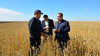 Фотография к новости: Уйти от импорта мяса намерены в Акмолинской области