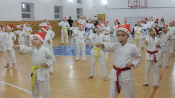 Фотография к новости: В Кокшетау более 300 каратистов нанесли 2019 ударов