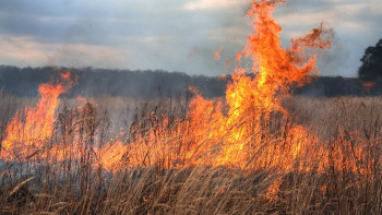 Фотография к новости: Почти сутки тушили пожар в степи Восточно-Казахстанской области