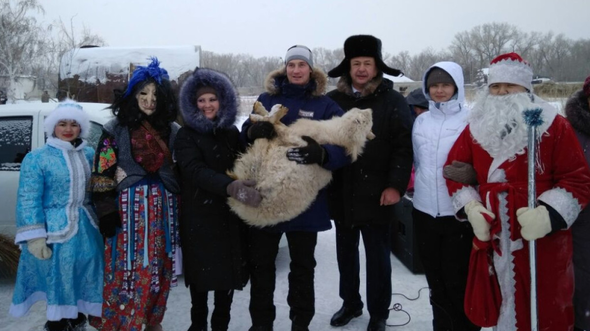  pavlodarnews.kz