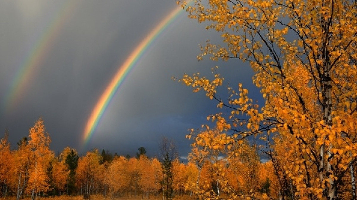  Из открытого источника 