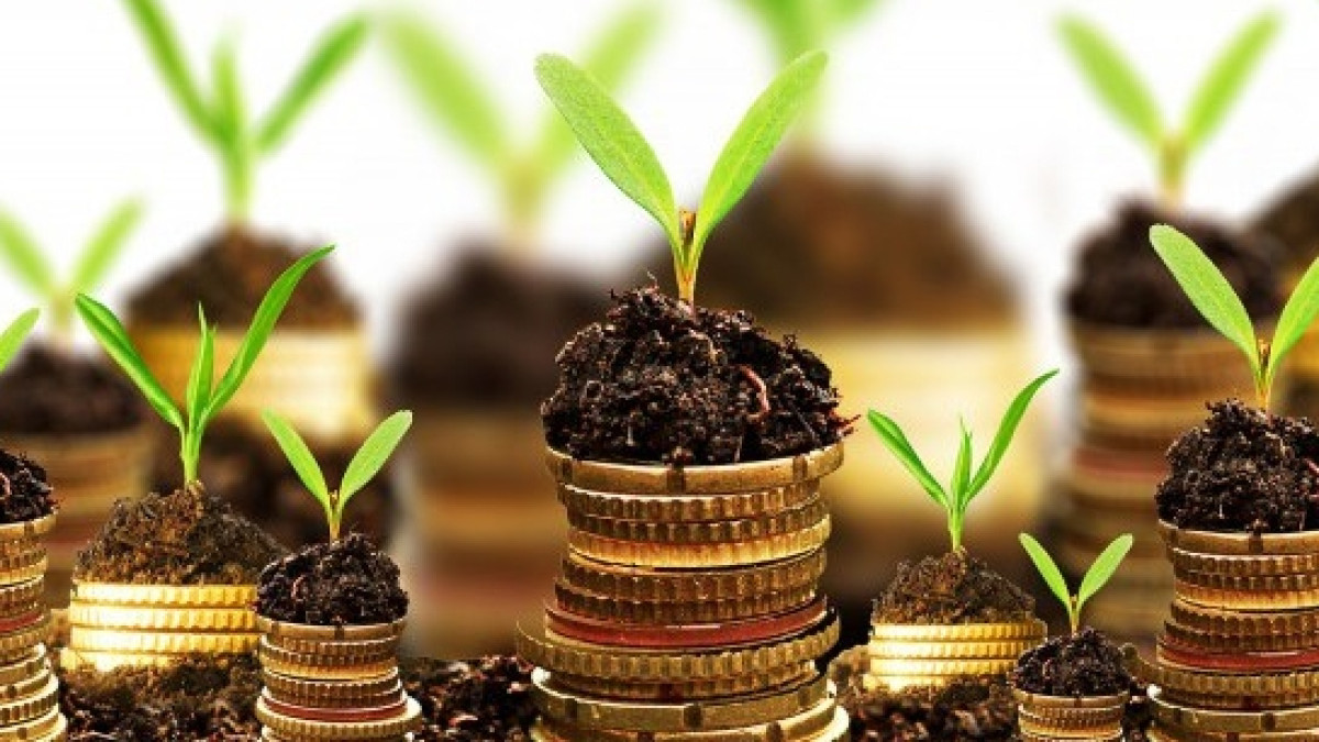  Вести Экономика