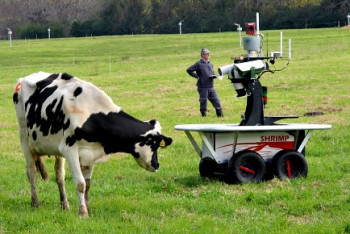 Фотография к новости: Как работает блокчейн в сельском хозяйстве, рассказали эксперты