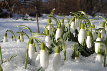 Фотография к новости: Синоптики рассказали о погоде в Казахстане 28 марта