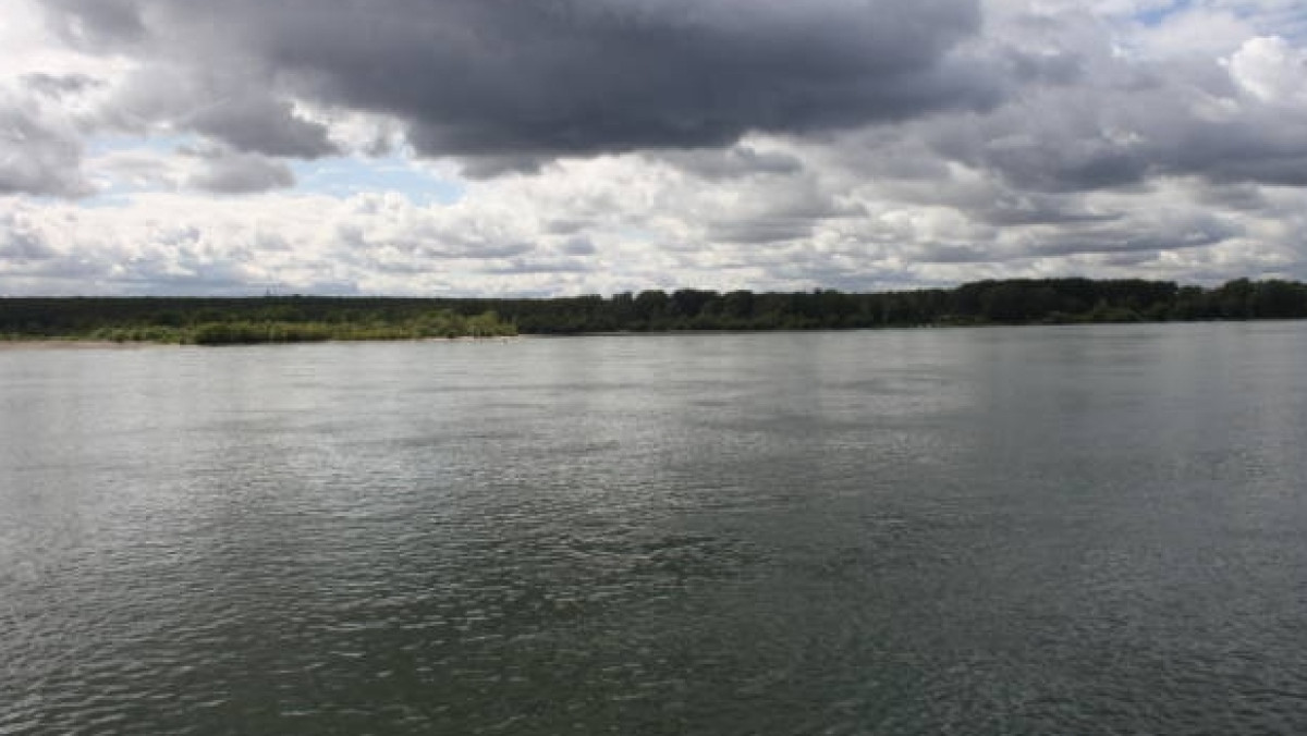  Из открытых источников 