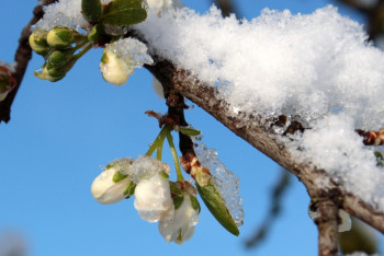 Фотография к новости: Синоптики рассказали о погоде в Казахстане 13 марта