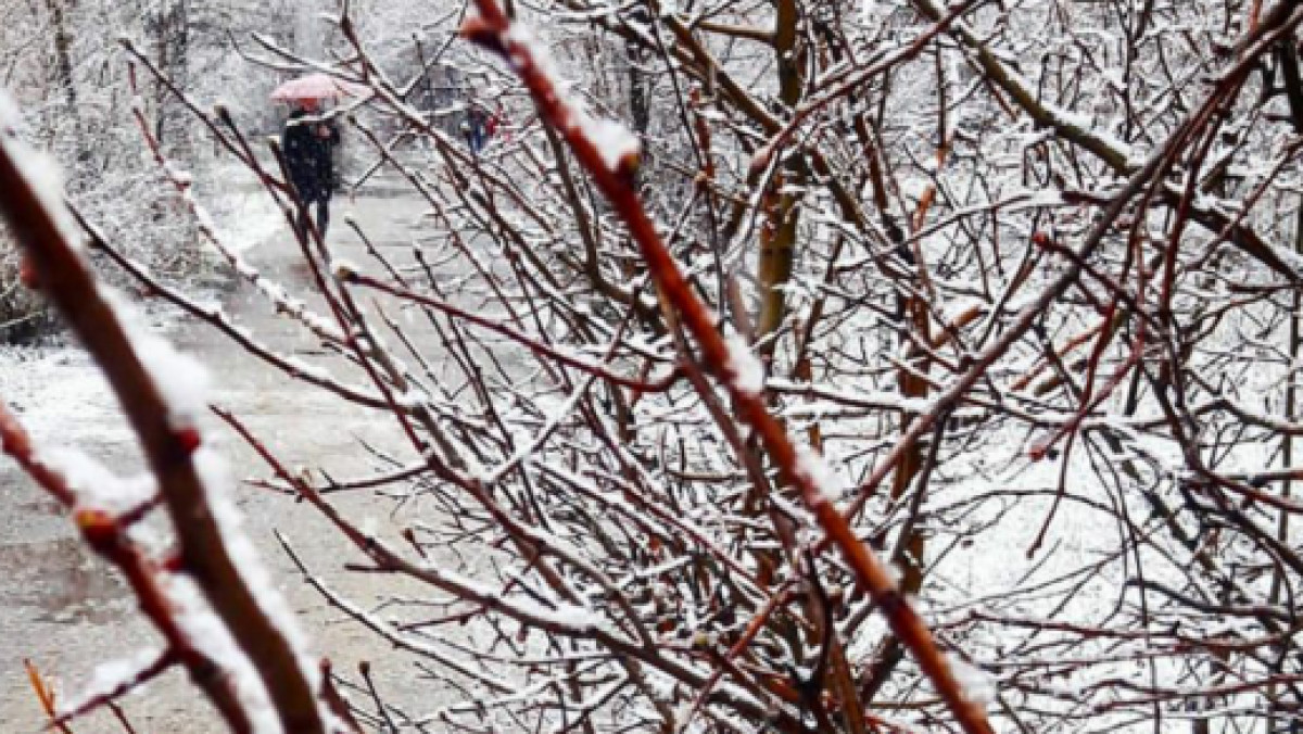  Фото из социальных сетей